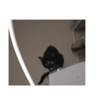 あいまりべるがぞーすたんぷ（個別スタンプ：2）