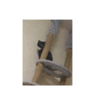 あいまりべるがぞーすたんぷ（個別スタンプ：7）