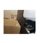 あいまりべるがぞーすたんぷ（個別スタンプ：8）