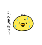 ゆるひよこスタンプ1（個別スタンプ：3）