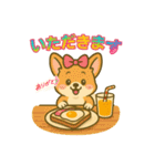 イジー コーギー1（個別スタンプ：4）