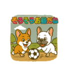 イジー コーギー1（個別スタンプ：11）