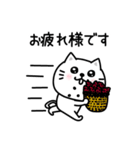 ぷるねこちゃーんシンプルな敬語（個別スタンプ：11）
