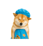 可愛い柴犬のシャワー服 V.2（個別スタンプ：31）