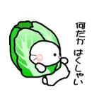 おはうさ再び【夏のだじゃれな過し方】（個別スタンプ：26）