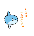 やさしいおさかなスタンプ（個別スタンプ：27）