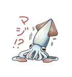 イカたちのまいにち（個別スタンプ：3）