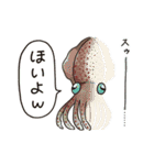 イカたちのまいにち（個別スタンプ：4）