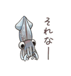 イカたちのまいにち（個別スタンプ：13）