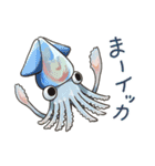 イカたちのまいにち（個別スタンプ：15）