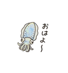 イカたちのまいにち（個別スタンプ：17）