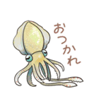 イカたちのまいにち（個別スタンプ：19）