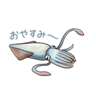 イカたちのまいにち（個別スタンプ：20）
