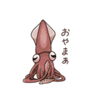 イカたちのまいにち（個別スタンプ：21）