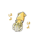 イカたちのまいにち（個別スタンプ：28）