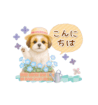 ▶動く癒しシーズーの「夏」の毎日（個別スタンプ：6）