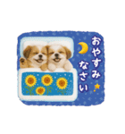 ▶動く癒しシーズーの「夏」の毎日（個別スタンプ：8）