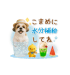 ▶動く癒しシーズーの「夏」の毎日（個別スタンプ：19）