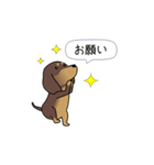 新・激しく尻尾をふるダックス【闇MIX】（個別スタンプ：1）