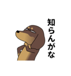 新・激しく尻尾をふるダックス【闇MIX】（個別スタンプ：3）