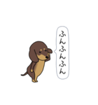新・激しく尻尾をふるダックス【闇MIX】（個別スタンプ：5）