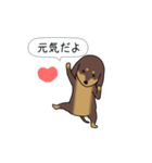 新・激しく尻尾をふるダックス【闇MIX】（個別スタンプ：9）