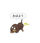 新・激しく尻尾をふるダックス【闇MIX】（個別スタンプ：11）