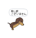新・激しく尻尾をふるダックス【闇MIX】（個別スタンプ：14）