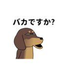 新・激しく尻尾をふるダックス【闇MIX】（個別スタンプ：22）