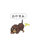 新・激しく尻尾をふるダックス【闇MIX】（個別スタンプ：24）