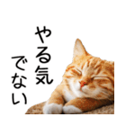 やる気がない☆にゃんこ（個別スタンプ：1）