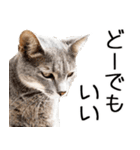 やる気がない☆にゃんこ（個別スタンプ：3）