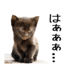 やる気がない☆にゃんこ（個別スタンプ：7）