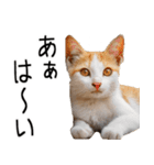 やる気がない☆にゃんこ（個別スタンプ：10）