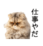 やる気がない☆にゃんこ（個別スタンプ：14）