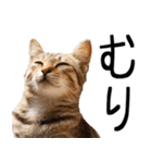 やる気がない☆にゃんこ（個別スタンプ：17）