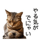 やる気がない☆にゃんこ（個別スタンプ：19）