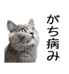 やる気がない☆にゃんこ（個別スタンプ：21）