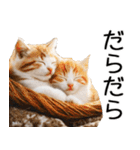 やる気がない☆にゃんこ（個別スタンプ：33）