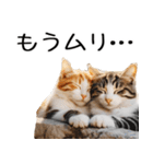 やる気がない☆にゃんこ（個別スタンプ：34）