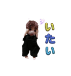 ちるもえの会話（個別スタンプ：2）