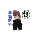 ちるもえの会話（個別スタンプ：11）