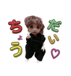ちるもえの会話（個別スタンプ：14）