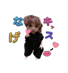 ちるもえの会話（個別スタンプ：19）