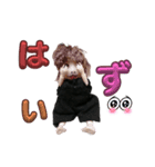 ちるもえの会話（個別スタンプ：20）