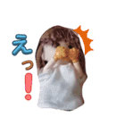 ちるもえの会話（個別スタンプ：30）