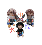 ちるもえの会話（個別スタンプ：31）