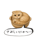 わが家の鍋ねこ（個別スタンプ：3）