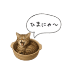 わが家の鍋ねこ（個別スタンプ：4）
