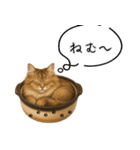 わが家の鍋ねこ（個別スタンプ：5）
